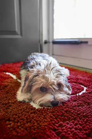  Soggy Doggy Doormat with Bone Design, Microfiber